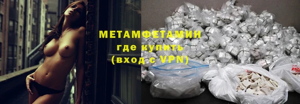 сатива Лабытнанги