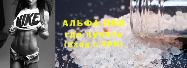 сатива Лабытнанги