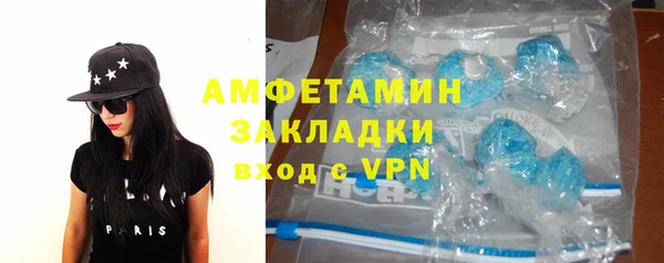сатива Лабытнанги