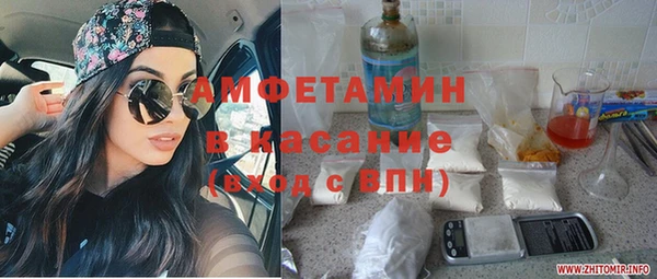 сатива Лабытнанги