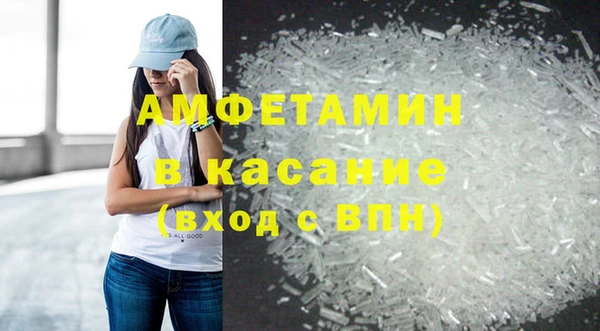 сатива Лабытнанги