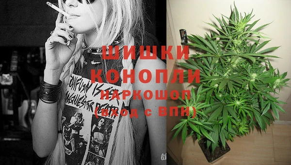 Альфа ПВП Ладушкин