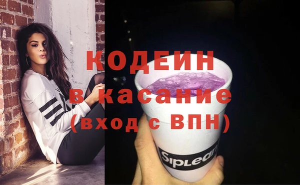 сатива Лабытнанги