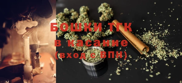 сатива Лабытнанги