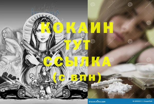 Альфа ПВП Ладушкин