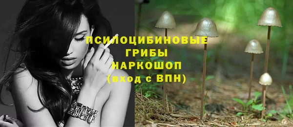 Альфа ПВП Ладушкин